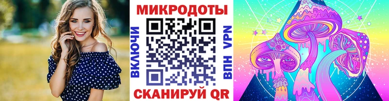 Галлюциногенные грибы Psilocybe  дарк нет как зайти  Опочка  магазин продажи  