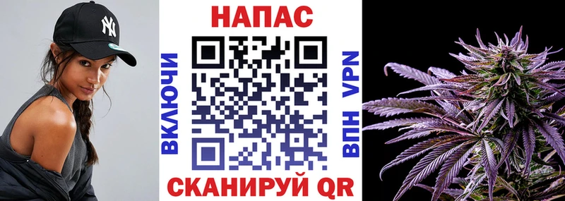 площадка телеграм  Опочка  Бошки марихуана план 